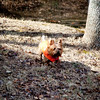 Big Bear - king of the hill!